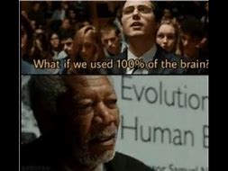 Image result for You Brougth Brain Meme