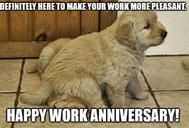 Image result for Work Anniversary Cat Meme