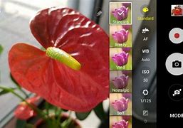 Image result for Samsung Pixel S7 Camera