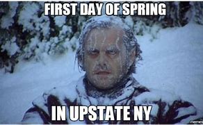 Image result for Buffalo New York Memes