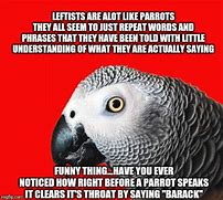 Image result for Repeating Bird Meme