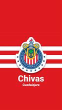 Image result for Chivas Logo