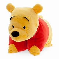 Image result for Winnie the Pooh Pillow Pet