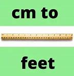 Image result for 509 Cm to Feet