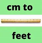 Image result for 164 Cm to Feet