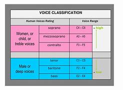 Image result for Anatomical Difference Between Voices of Male and Female