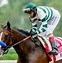 Image result for Dreamfyre in Breeders Cup Race