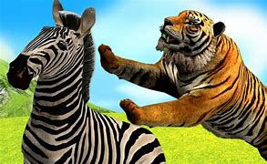 Image result for Zebra Tiger Friends