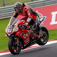 Image result for Mark Boyo Ducati