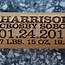 Image result for Personalized Baby Baseball Bat