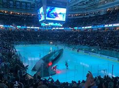 Image result for NHL Arena at Center Ice