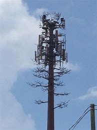 Image result for Faux Tree Cell Towers