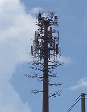 Image result for Fake Tree Cell Tower