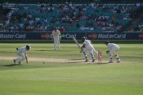 Image result for Cricket Swingball Set