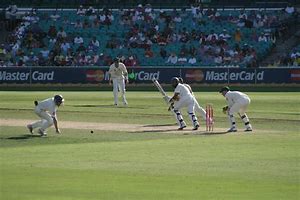 Image result for Back Yard Cricket Game