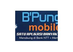 Image result for B Pung Mobile Bank NTT