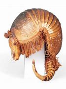 Image result for Armadillo Shell Hat