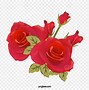 Image result for Red Rose Vector