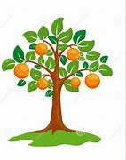 Image result for Apple and Orange Tree