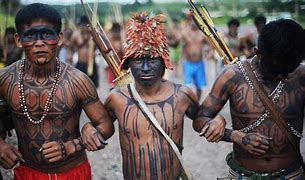 Image result for aborigwn