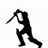 Image result for Cricket Background.png