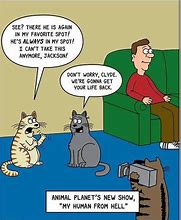 Image result for Fat Cat Memes Funny