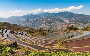Image result for Yunan rice terraces