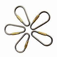 Image result for mini keychains carabiner