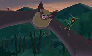 Image result for Wild Kratts a Bat in the Brownies