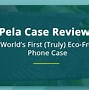 Image result for iPhone SE Pela Case