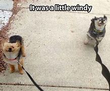 Image result for Wind Funny