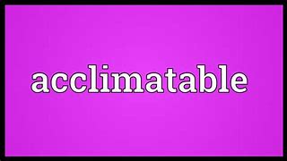 Image result for aclimatable