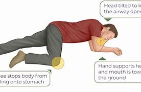Image result for Recovery Position First Aid Steps