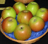 Image result for Ariane Apple