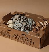 Image result for Packaged Mushrooms