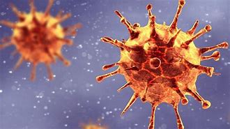 Image result for Covid 19 and Coronavirus