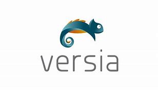 Image result for Versia Logo
