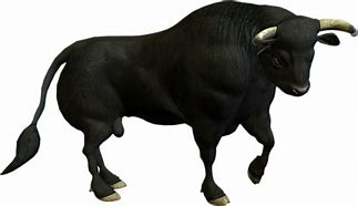 Image result for Bull PNG