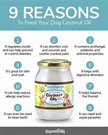 Image result for Coconut Oil Healthy for Dogs