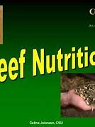 Image result for Beef Health Benefits