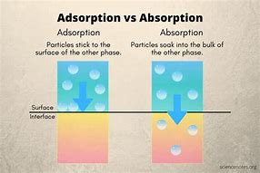 Image result for ABSORPTION