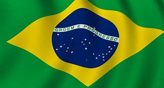 Image result for Flag Do Brasil