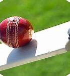 Image result for Cricket Bat HD England