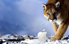 Image result for Mac OS Leopard Wallpaper