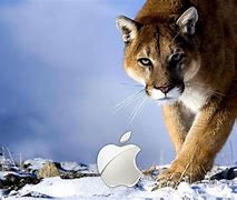 Image result for Mac OS Snow Leopard Wallpaper 4K