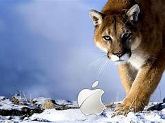 Image result for Mac OS X Snow Leopard Server Wallpaper