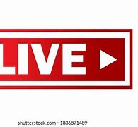 Image result for live stock