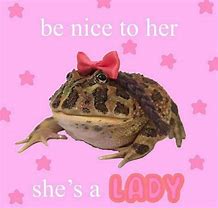 Image result for Cute Frog Memes
