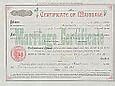 Image result for Marie Rosenitch Cherry Marriage Certificate New York
