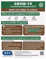 Image result for Infographic Examples Covid 19